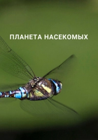 Планета насекомых (2022)