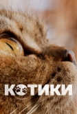 Котики (2022)